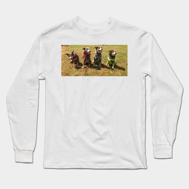 22218 winners circle Long Sleeve T-Shirt by pcfyi
